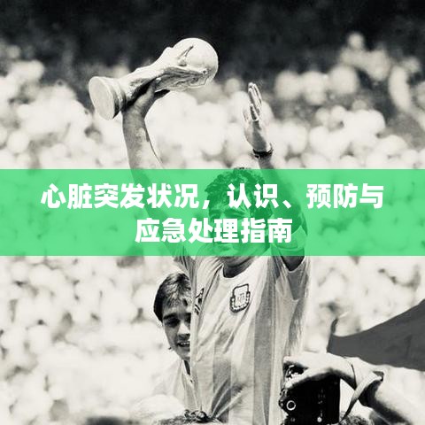心臟突發(fā)狀況，認識、預(yù)防與應(yīng)急處理指南