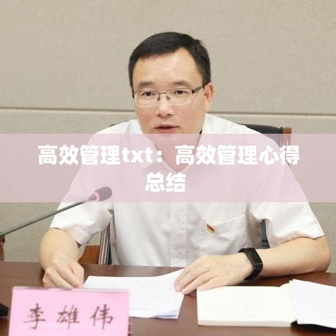 高效管理txt：高效管理心得總結(jié) 