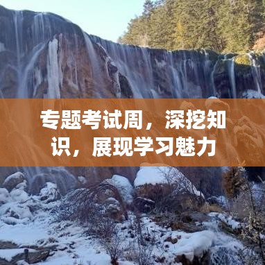 專題考試周，深挖知識，展現(xiàn)學(xué)習(xí)魅力