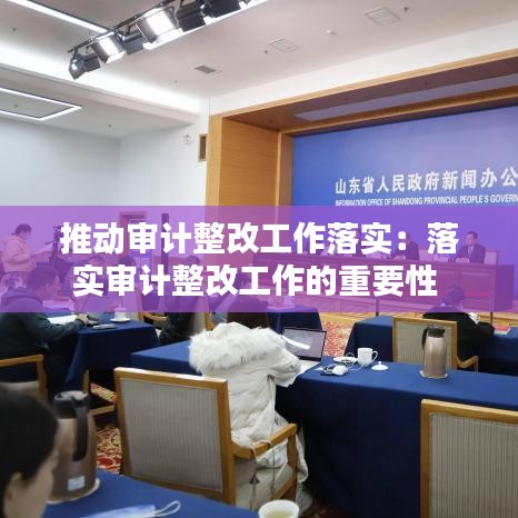 推動審計整改工作落實(shí)：落實(shí)審計整改工作的重要性 