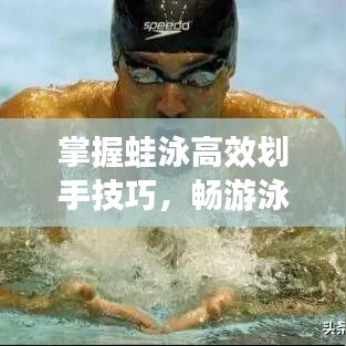 掌握蛙泳高效劃手技巧，暢游泳池?zé)o界限