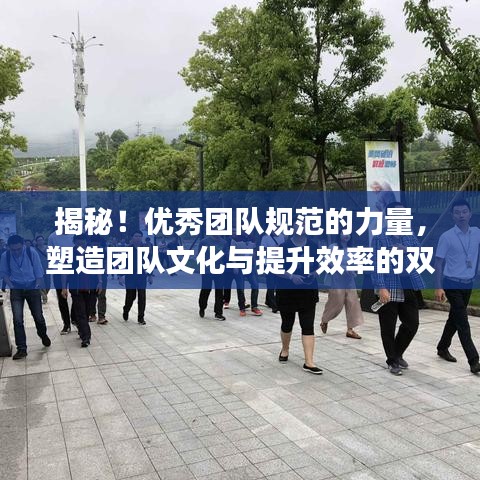 揭秘！優(yōu)秀團(tuán)隊(duì)規(guī)范的力量，塑造團(tuán)隊(duì)文化與提升效率的雙重秘訣