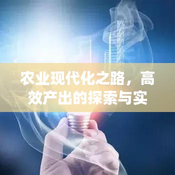 農(nóng)業(yè)現(xiàn)代化之路，高效產(chǎn)出的探索與實(shí)踐