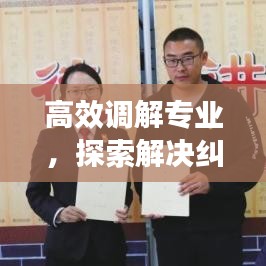 高效調(diào)解專業(yè)，探索解決糾紛的新路徑