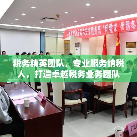 稅務(wù)精英團(tuán)隊(duì)，專業(yè)服務(wù)納稅人，打造卓越稅務(wù)業(yè)務(wù)團(tuán)隊(duì)
