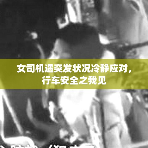 女司機(jī)遇突發(fā)狀況冷靜應(yīng)對，行車安全之我見