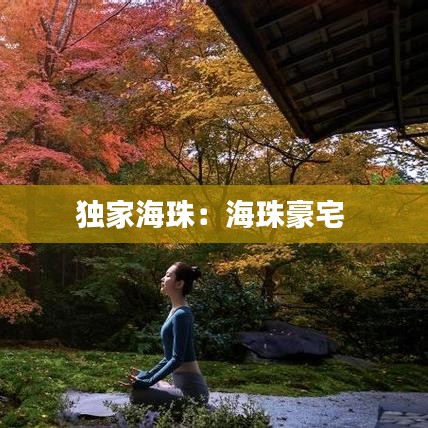 獨(dú)家海珠：海珠豪宅 