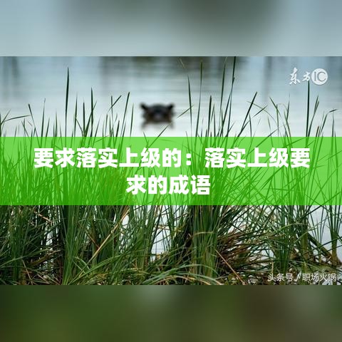 要求落實(shí)上級(jí)的：落實(shí)上級(jí)要求的成語(yǔ) 