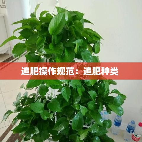 追肥操作規(guī)范：追肥種類 