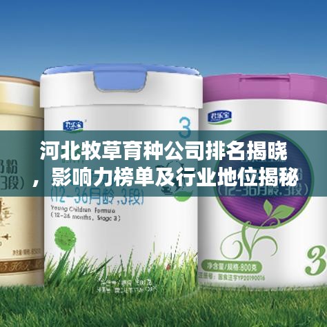 河北牧草育種公司排名揭曉，影響力榜單及行業(yè)地位揭秘