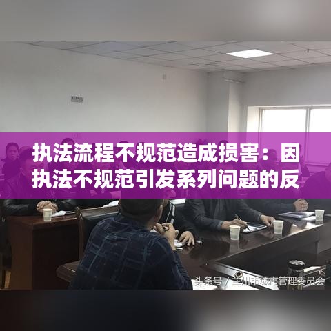 執(zhí)法流程不規(guī)范造成損害：因執(zhí)法不規(guī)范引發(fā)系列問題的反思,心得體會 