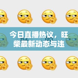 今日直播熱議，旺柴最新動(dòng)態(tài)與違法犯罪問(wèn)題探討深度解析