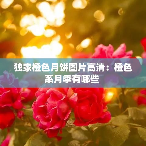 獨(dú)家橙色月餅圖片高清：橙色系月季有哪些 