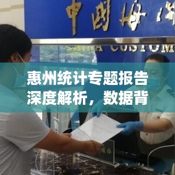 惠州統(tǒng)計(jì)專題報(bào)告深度解析，數(shù)據(jù)背后的真相與洞察