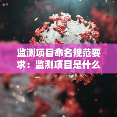 監(jiān)測項(xiàng)目命名規(guī)范要求：監(jiān)測項(xiàng)目是什么意思 