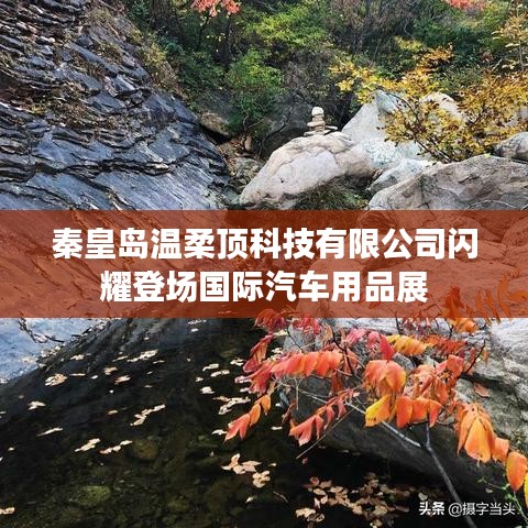 秦皇島溫柔頂科技亮相國(guó)際汽車用品展，引領(lǐng)行業(yè)新潮流