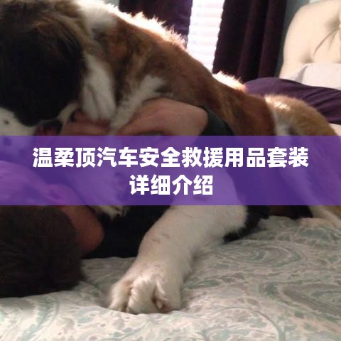 溫柔頂汽車安全救援用品套裝介紹，全方位保障您的行車安全