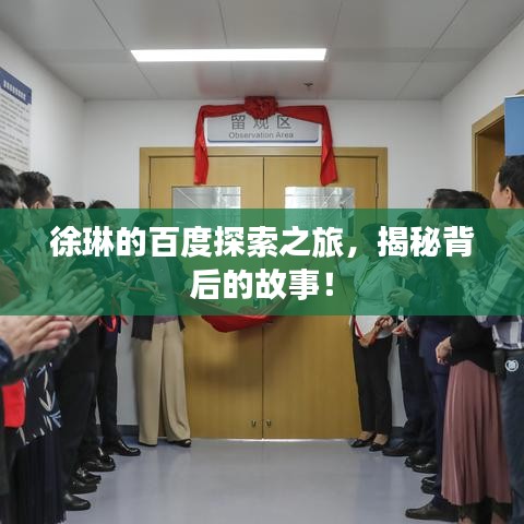 徐琳的百度探索之旅，揭秘背后的故事！