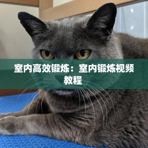 室內(nèi)高效鍛煉：室內(nèi)鍛煉視頻教程 