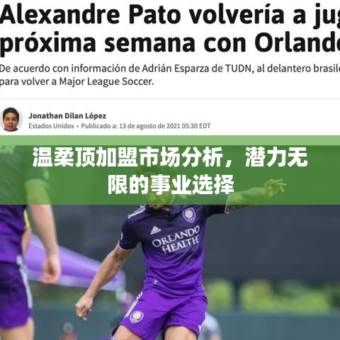 溫柔頂加盟市場(chǎng)深度解析，事業(yè)潛力無限選擇