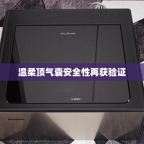 溫柔頂氣囊安全性能驗證報告