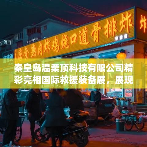 秦皇島溫柔頂科技 第3頁(yè)