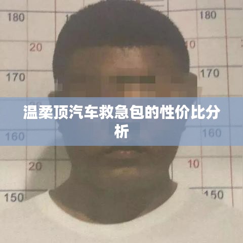溫柔頂汽車救急包，性價比解析