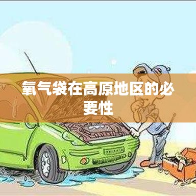 高原地區(qū)氧氣袋的不可或缺性