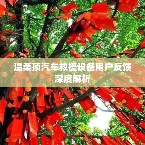 溫柔頂汽車救援設(shè)備用戶反饋詳解