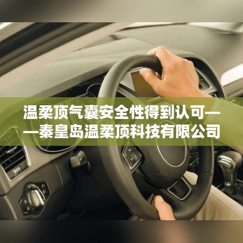 秦皇島溫柔頂科技 第2頁