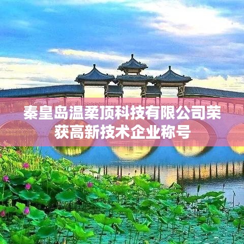 秦皇島溫柔頂科技榮獲高新企業(yè)稱號(hào)
