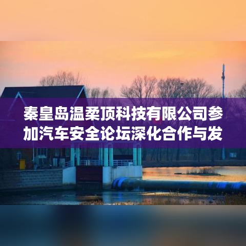秦皇島溫柔頂科技參加汽車安全論壇，深化合作，共謀發(fā)展