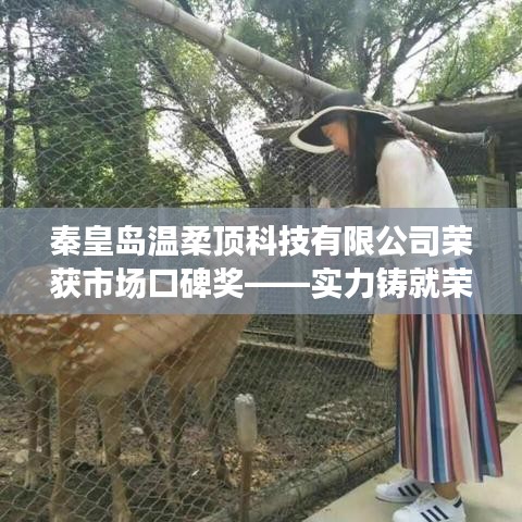 秦皇島溫柔頂科技榮獲市場(chǎng)口碑獎(jiǎng)，實(shí)力創(chuàng)新，引領(lǐng)未來(lái)