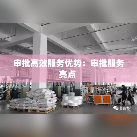 審批高效服務(wù)優(yōu)勢(shì)：審批服務(wù)亮點(diǎn) 