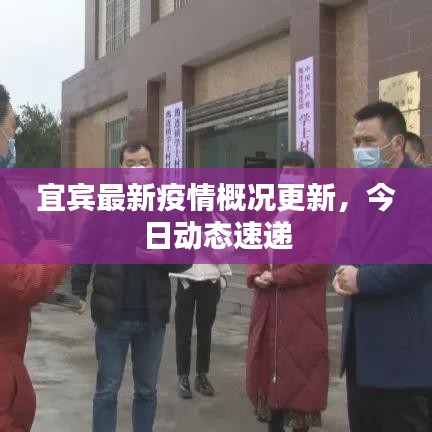 宜賓最新疫情概況更新，今日動態(tài)速遞