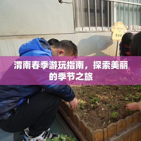 渭南春季游玩指南，探索美麗的季節(jié)之旅