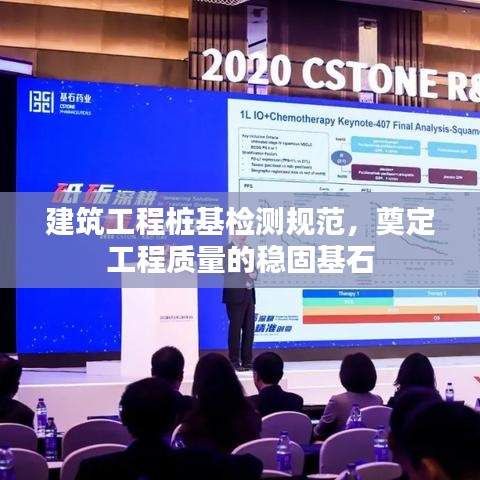 建筑工程樁基檢測(cè)規(guī)范，奠定工程質(zhì)量的穩(wěn)固基石