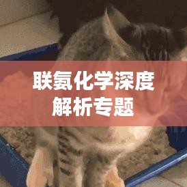 聯(lián)氨化學深度解析專題