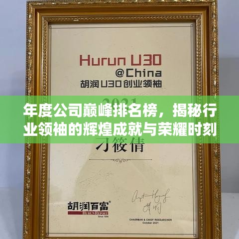 年度公司巔峰排名榜，揭秘行業(yè)領(lǐng)袖的輝煌成就與榮耀時(shí)刻