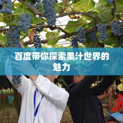 百度帶你探索果汁世界的魅力