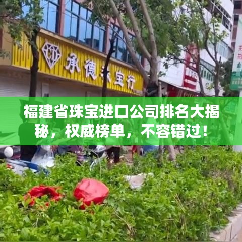 福建省珠寶進(jìn)口公司排名大揭秘，權(quán)威榜單，不容錯(cuò)過！