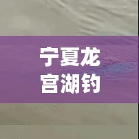 寧夏龍宮湖釣魚秘籍，最新攻略全解析！