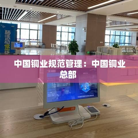 中國(guó)銅業(yè)規(guī)范管理：中國(guó)銅業(yè)總部 