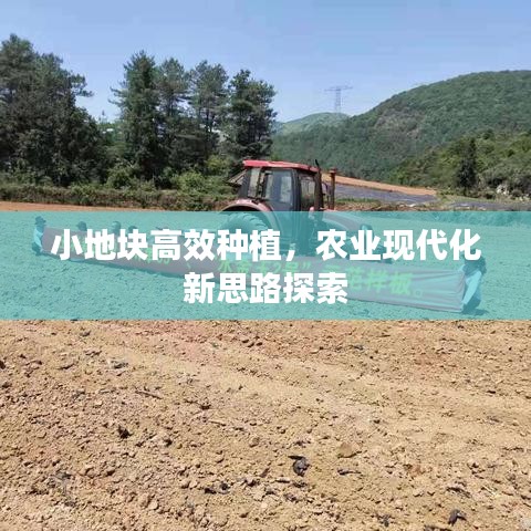 小地塊高效種植，農(nóng)業(yè)現(xiàn)代化新思路探索