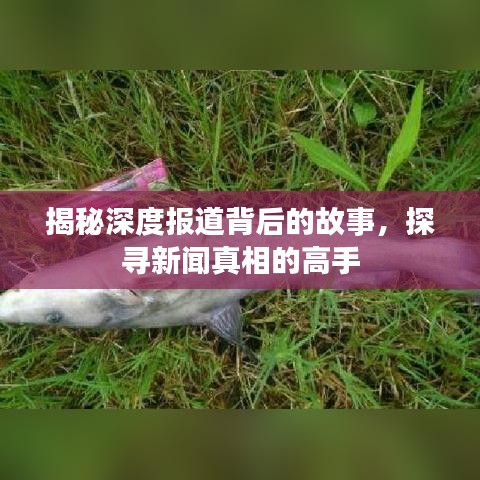 揭秘深度報道背后的故事，探尋新聞真相的高手