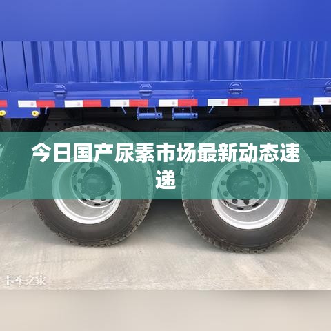 今日國(guó)產(chǎn)尿素市場(chǎng)最新動(dòng)態(tài)速遞