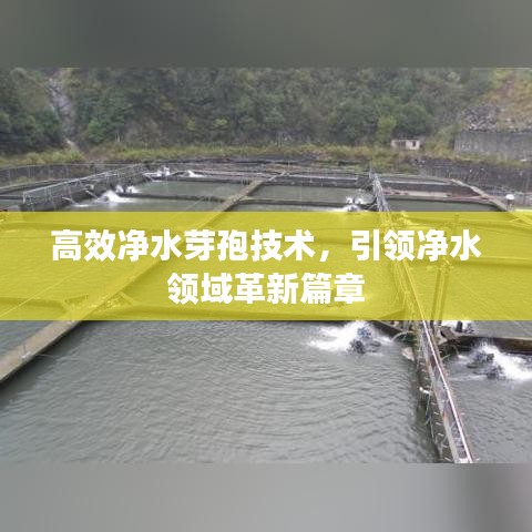 高效凈水芽孢技術(shù)，引領(lǐng)凈水領(lǐng)域革新篇章