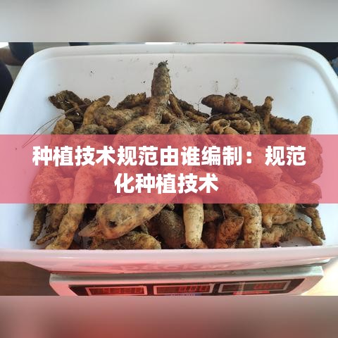 種植技術(shù)規(guī)范由誰(shuí)編制：規(guī)范化種植技術(shù) 