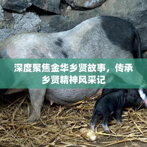 深度聚焦金華鄉(xiāng)賢故事，傳承鄉(xiāng)賢精神風(fēng)采記