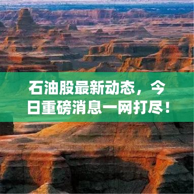 石油股最新動態(tài)，今日重磅消息一網(wǎng)打盡！